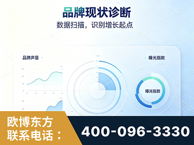 莱西-品牌现状诊断