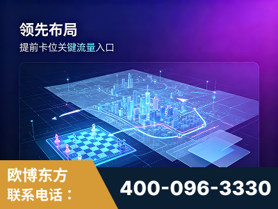莱西-领先布局：于2024年初开启GEO业务的公司